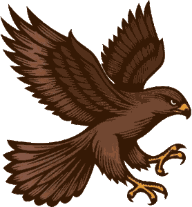 Money Hawk